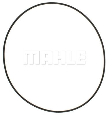 CAUCHO DE CAMISA SOLO